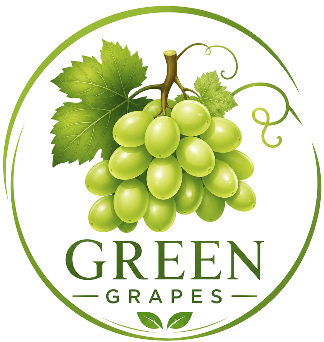logo2